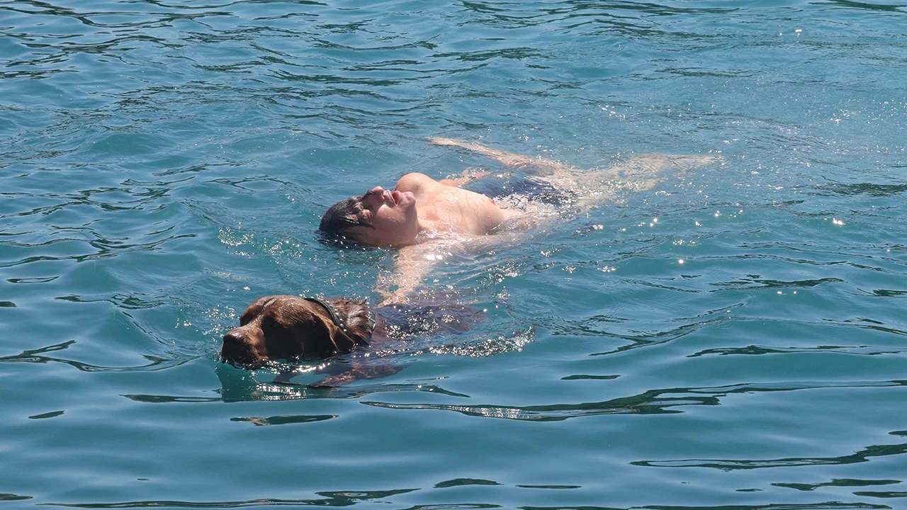 Eğitimle değil içgüdüyle: Deniz polisi köpeği Miço hayat kurtarıyor
