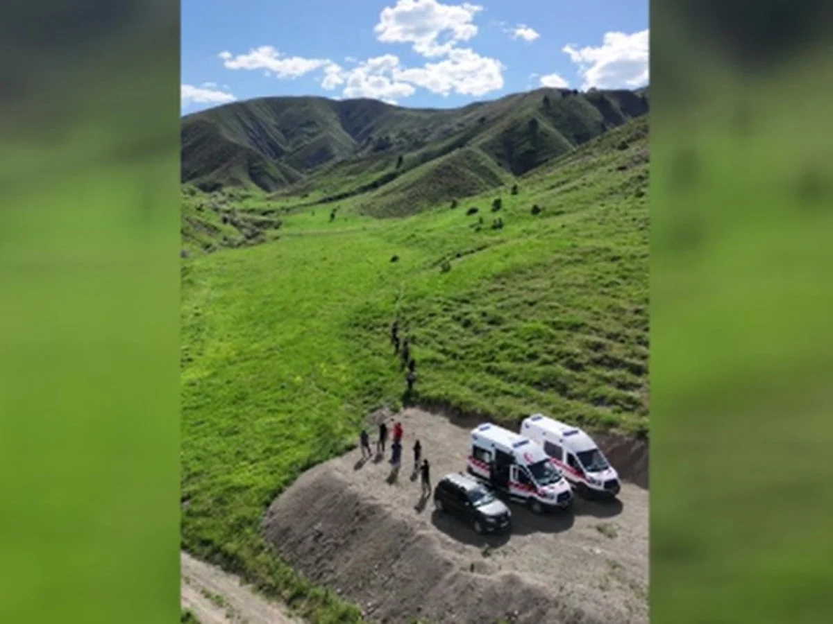 Tunceli'de mantar toplayanlara ayı saldırdı: 3 yaralı