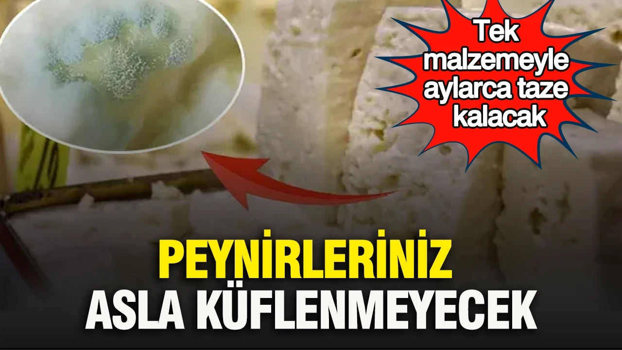 Peynirleriniz asla küflenmeyecek: Tek malzemeyle aylarca taze kalacak
