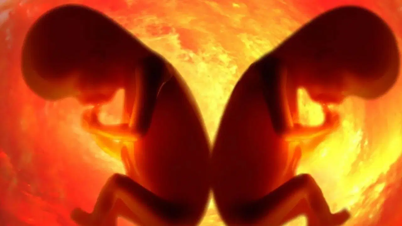 Bilim dünyasında etik kriz: Genetiği değiştirilmiş bebekler dönemi yeniden mi başlıyor?