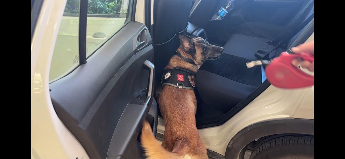 Narkotik köpeği Cessi'den başarılı operasyon