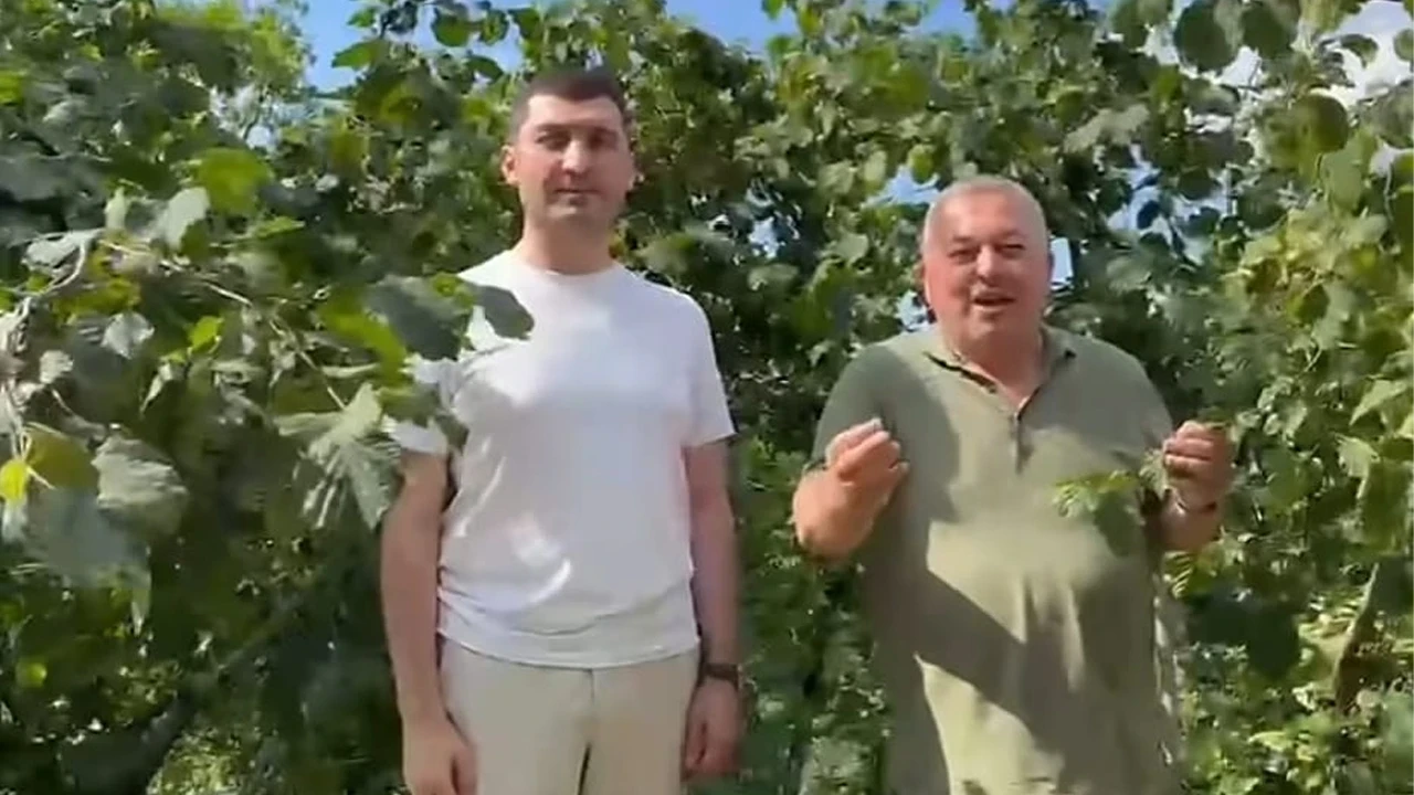 Cemal Enginyurt Başkan Ulaş Tepe ile fındık bahçesine girdi