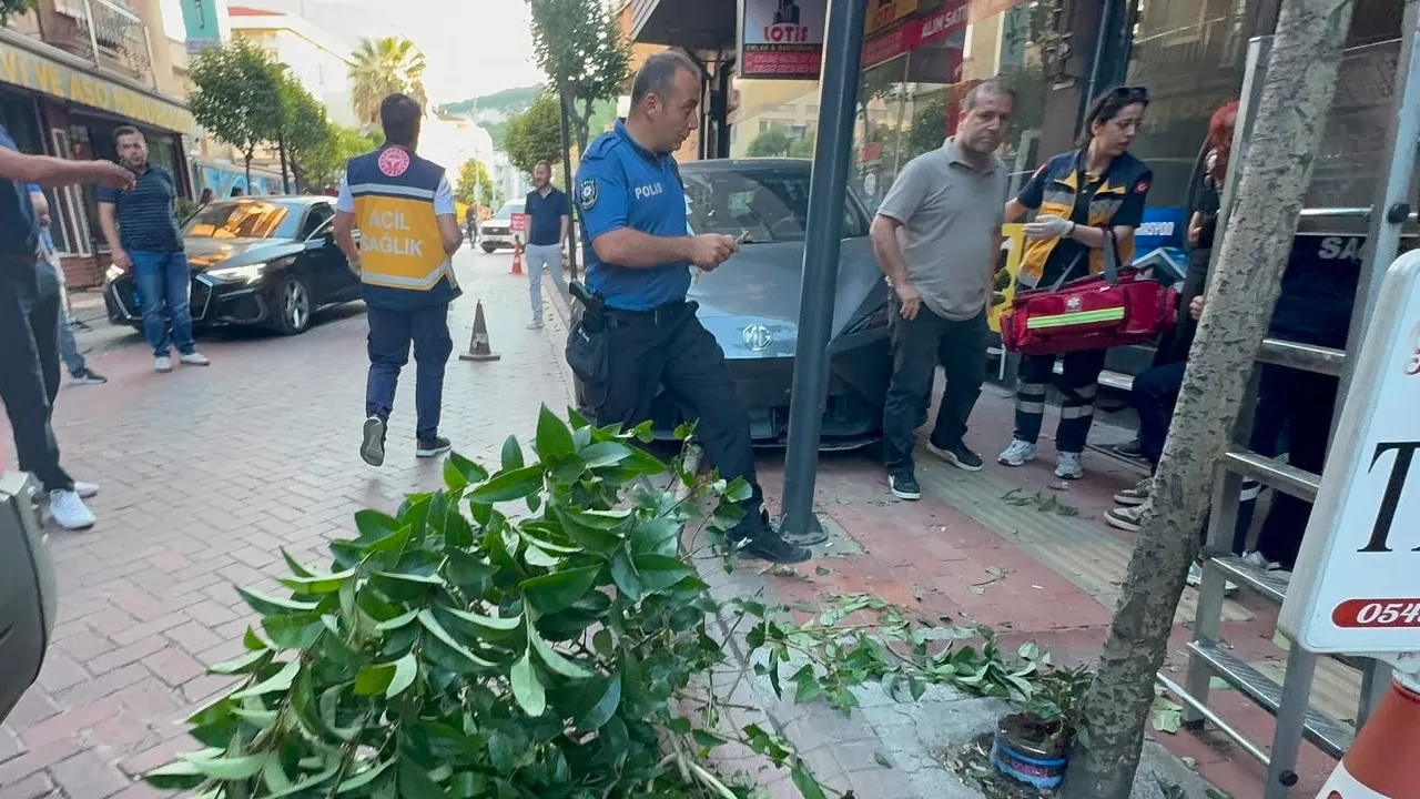 Fren yerine gaza basınca ortalık savaş alanına döndü! Ağaçları devirip duvara tosladı