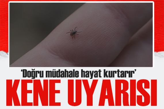 Uzman doktordan kene uyarısı: Doğru müdahale hayat kurtarır