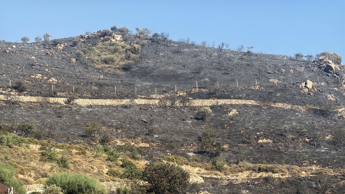 Bodrum'da otluk ve makilik alanda yangın