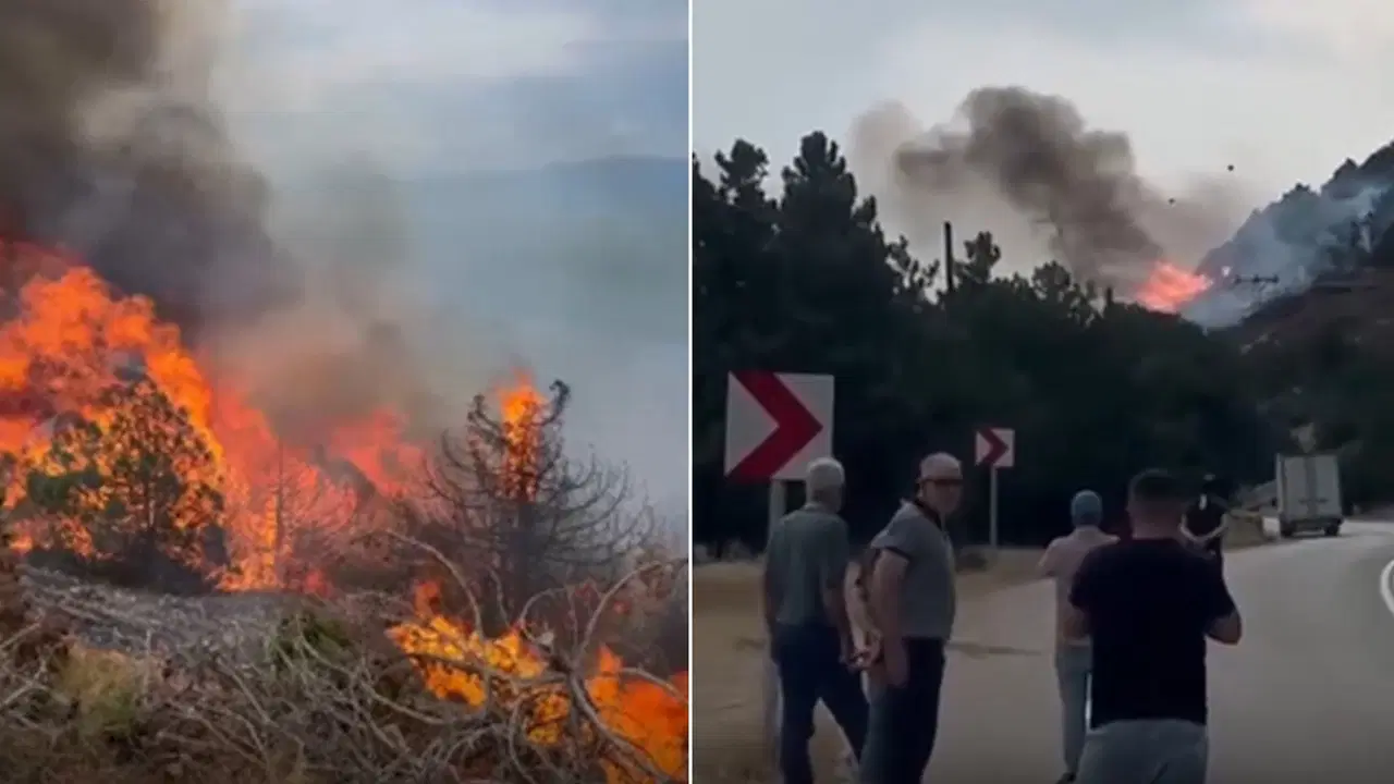 Isparta'da orman yangını: Alevler büyüdü, ekiplerin müdahalesi sürüyor