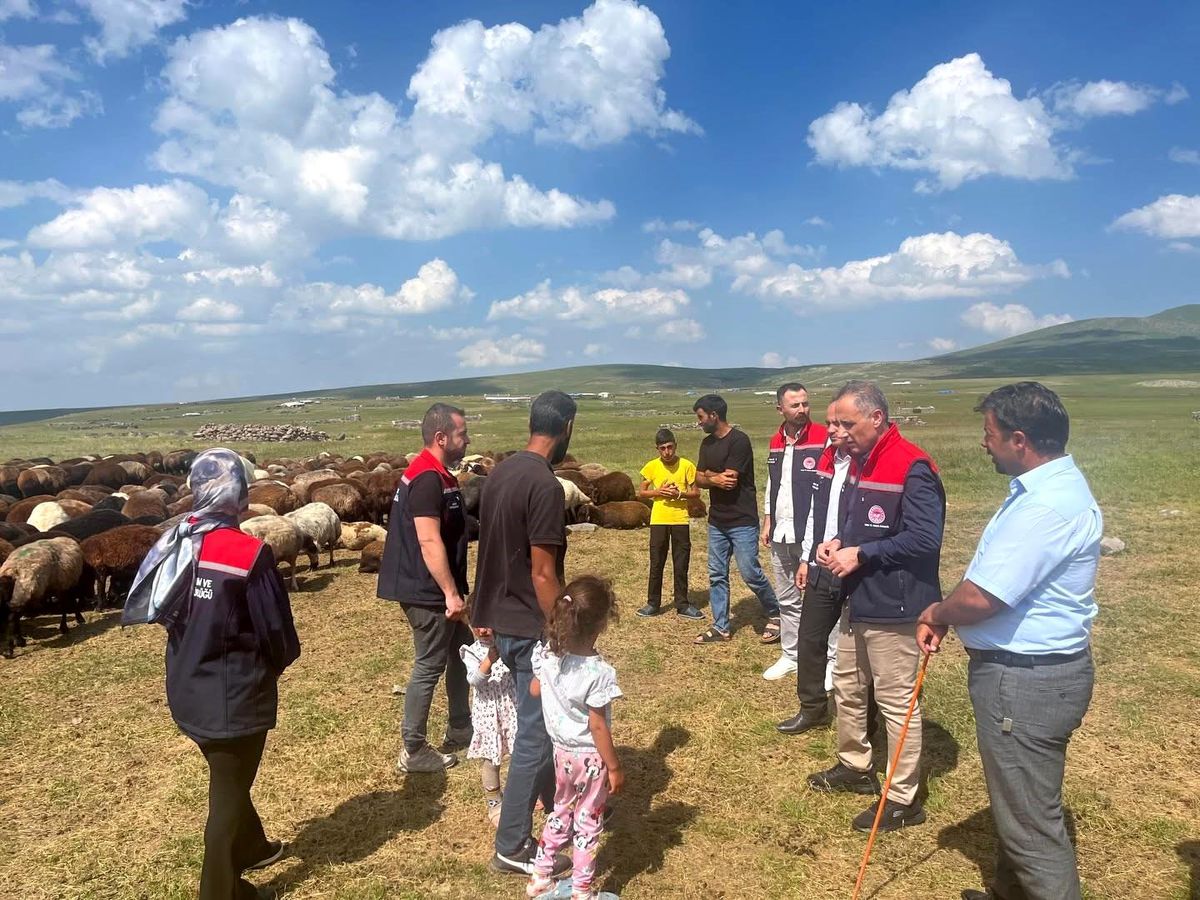 Kars'ta yaylalarda hayvancılığa yakın takip