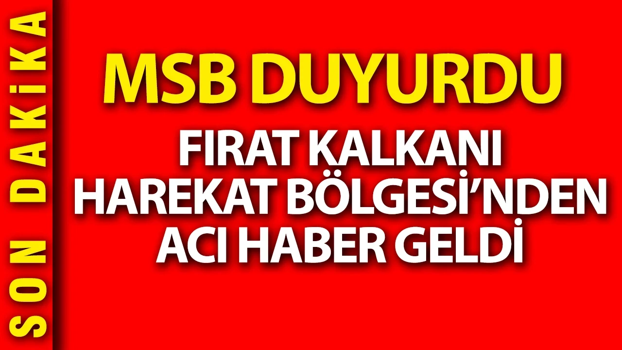 Milli Savunma Bakanlığı Fırat Kalkanı bölgesinde 1 askerin şehit olduğunu duyurdu