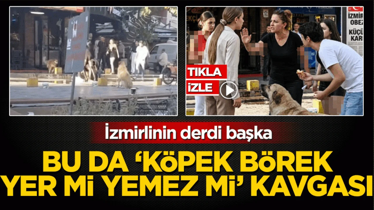 İzmirlilerin derdi başka: Bu da ‘köpek börek yer mi yemez mi’ kavgası