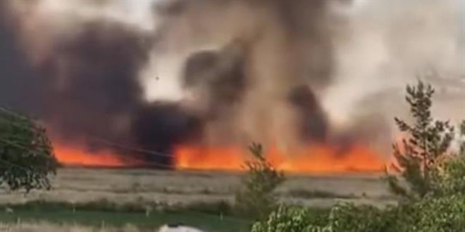 Siverek'te arazi yangını: 3 yaralı, 200 dönüm ekili alan küle döndü