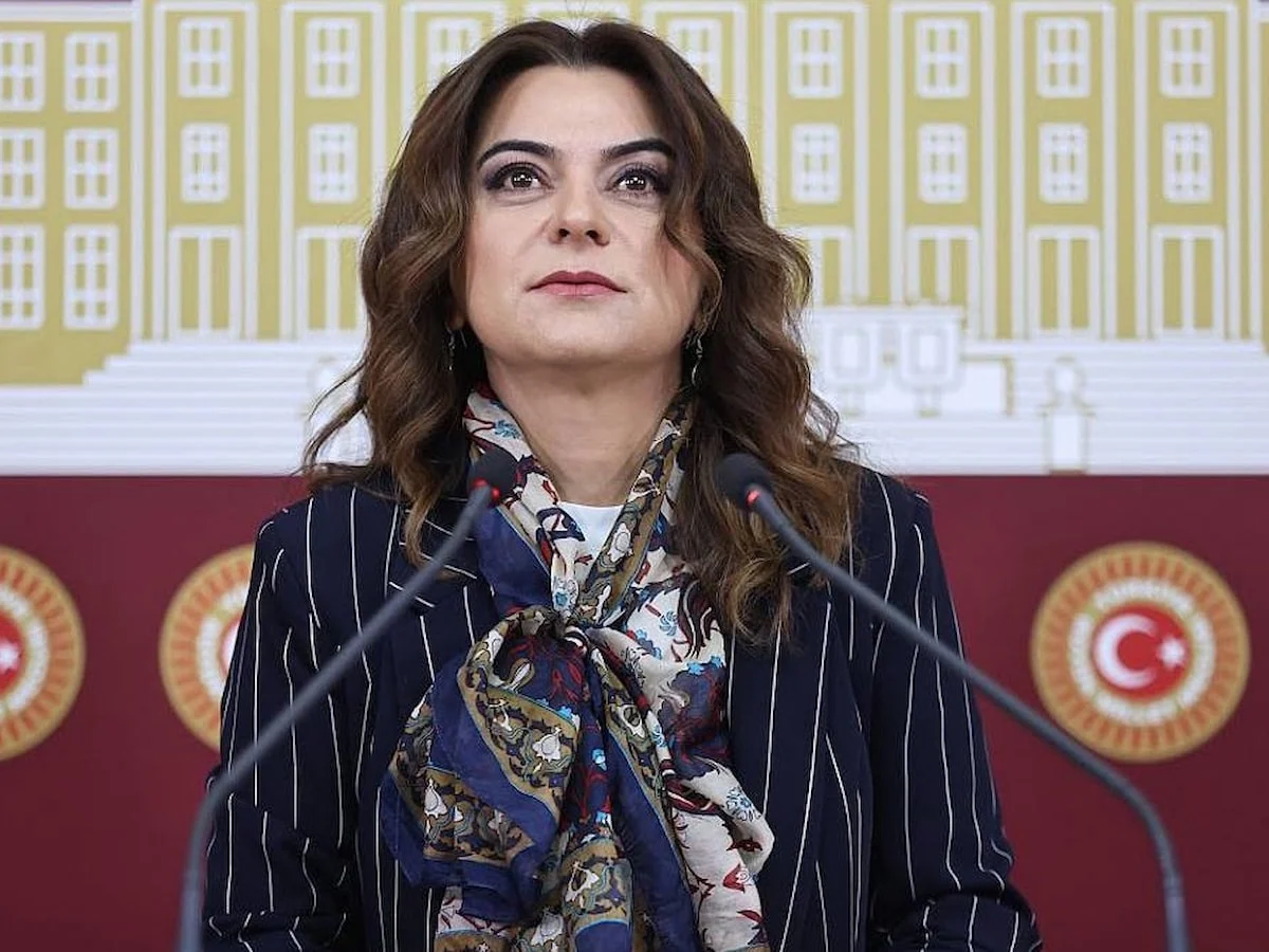 Gülistan Kılıç Koçyiğit AYM'nin "nafaka" kararını beğenmedi