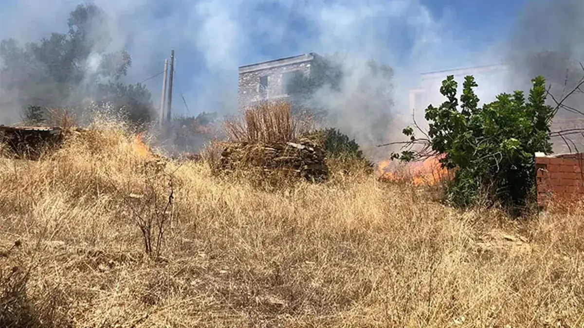 Bodrum'da otluk alanda çıkan yangın, ormana sıçradı
