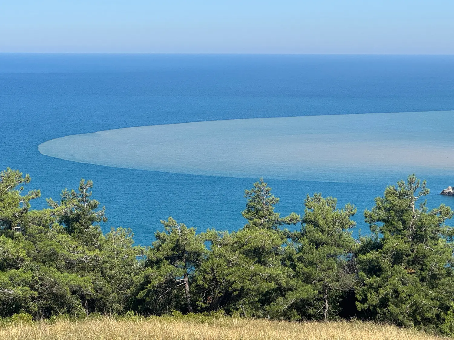 Bartın'da denizin rengi değişti! Irmaktan gelen çamurlu su kıyıyı kapladı