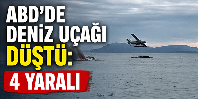 ABD’de deniz uçağı düştü: 4 yaralı