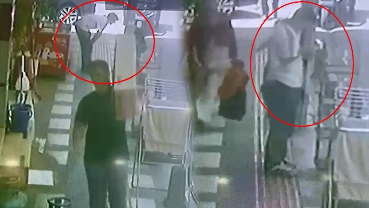 Sinsice yaklaştı, kafesi boşalttı: Papağanı sevip çaldılar