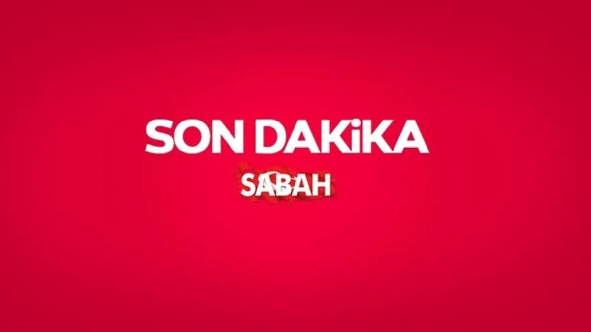 Başkan Erdoğan'dan A Milli Takıma mesaj: Milletimizin desteğini yanınızda hissedeceksiniz