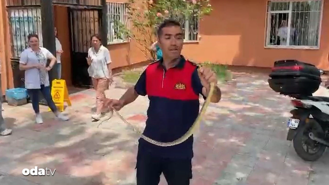 Sağlık ocağında yılan paniği