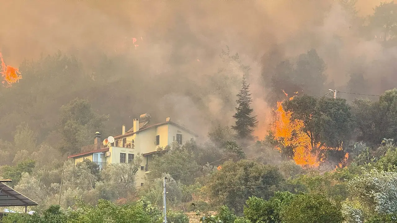 Muğla'daki orman yangını kontrol altına alındı