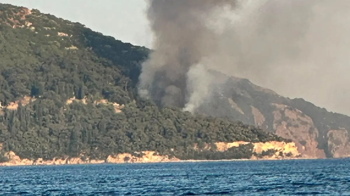Büyükada'da yangın paniği: Plaj alevlere teslim oldu