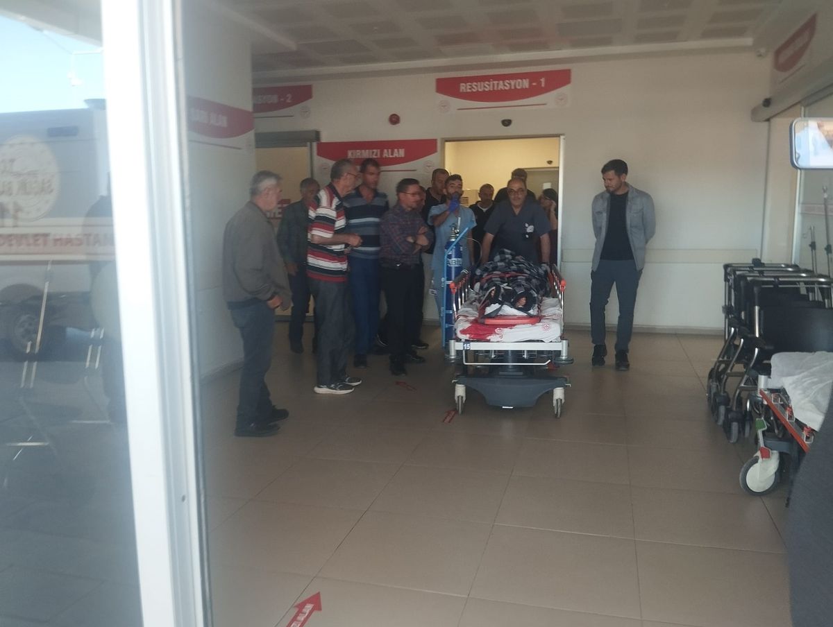 Kangal köpekleri çobanın hayatını kurtardı