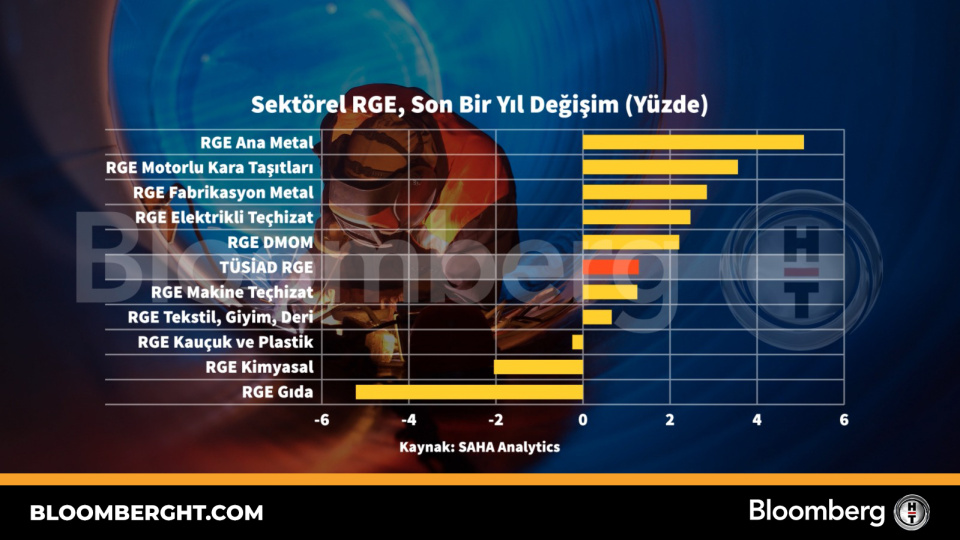 Sektörel RGE son bir yıl değişim