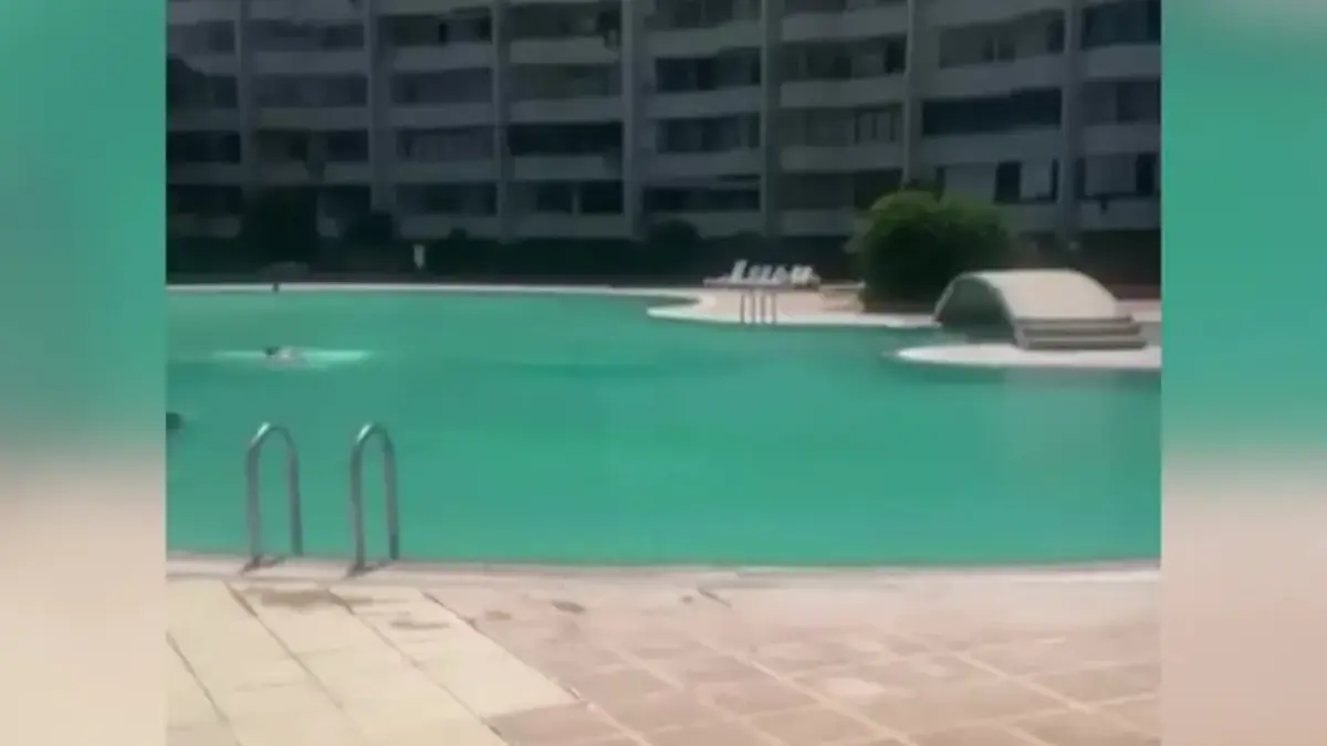 Havuza "haşema" yasağına soruşturma