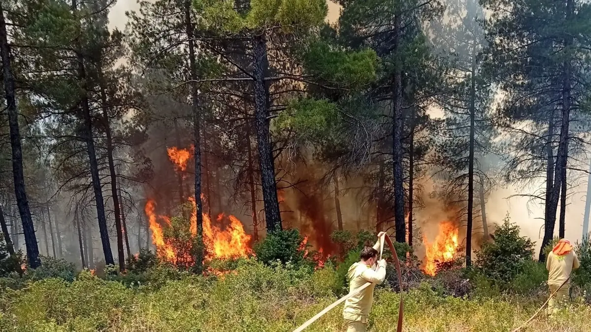 Bursa'da orman yangını: Ekipler havadan ve karadan müdahale ediyor