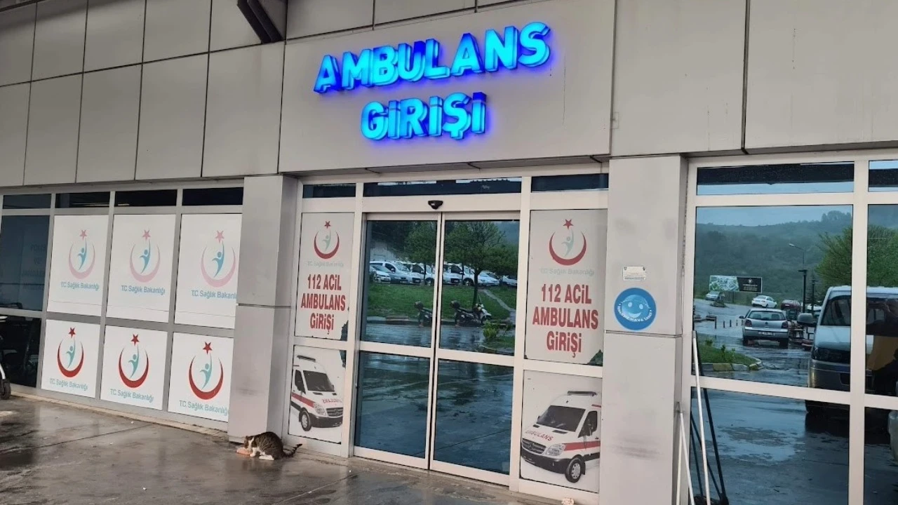 Eşek arısı soktu yoğun bakıma kaldırıldı