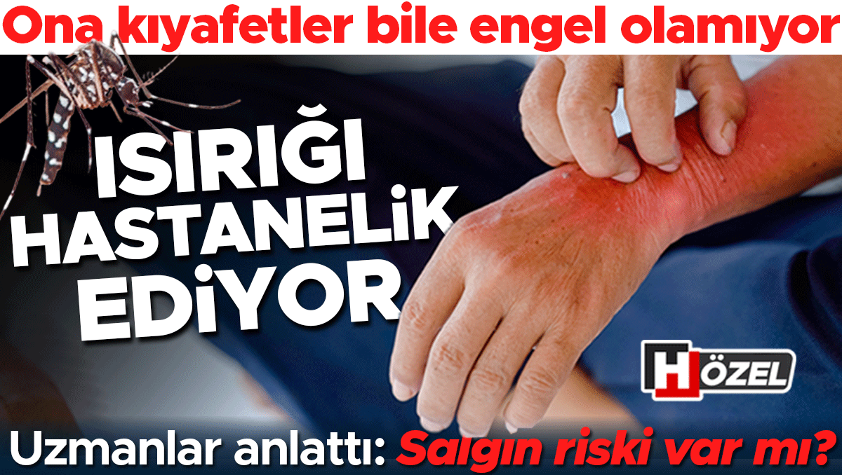 Isırığı hastanelik ediyor! Kıyafetler bile engel olamıyor, gündüzleri saldırıyor... Uzmanlar anlattı: Kalıcı hale mi geldi ve salgın riski var mı?