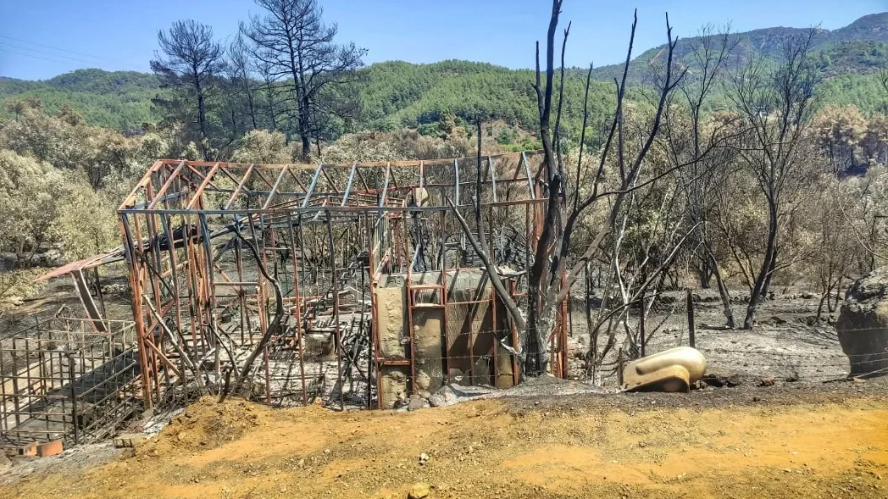 Fethiye'deki orman yangınından etkilenen alanda hasar tespit çalışması yapılıyor