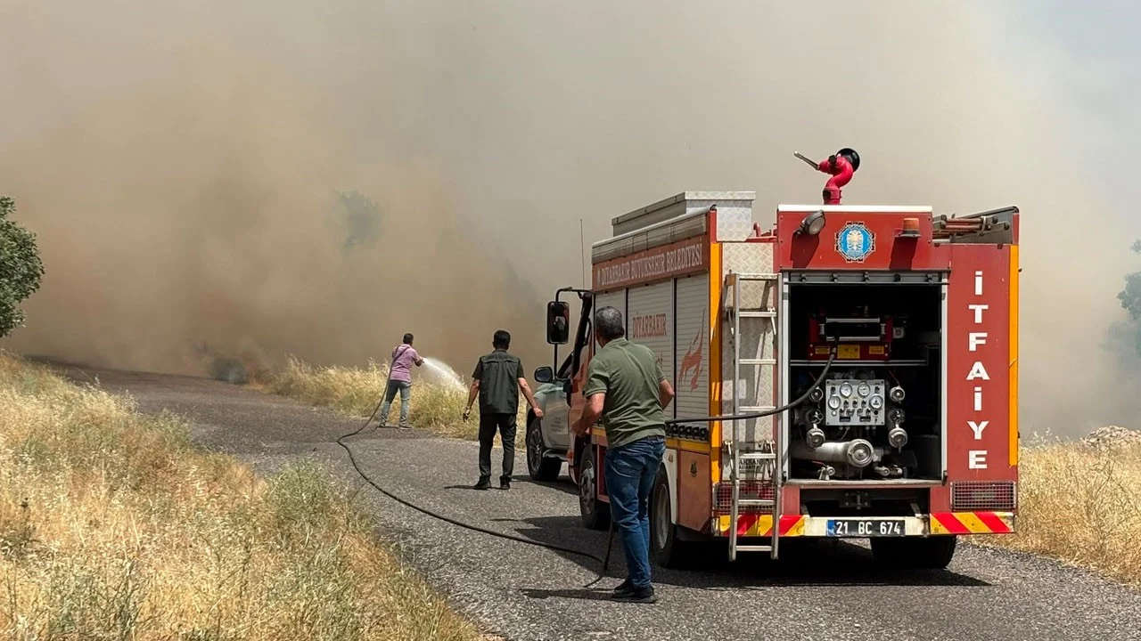 Yüzlerce dönüm buğday tarlası yandı! Emekler kül oldu