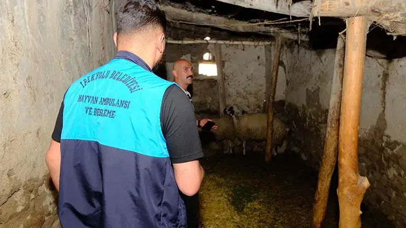 Van’da kuduz vakası sonrası mahalle karantinaya alındı