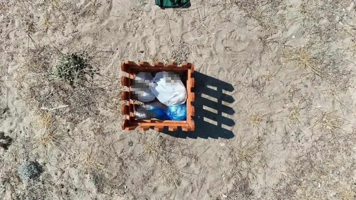Ayvalık'ta koruma kafesleri çöplüğe döndü: Kum zambakları zarar görüyor