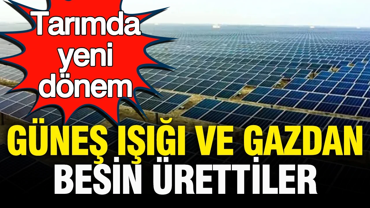 Almanya’da güneş ışığı ve gazdan besin ürettiler: Tarımda yeni dönem