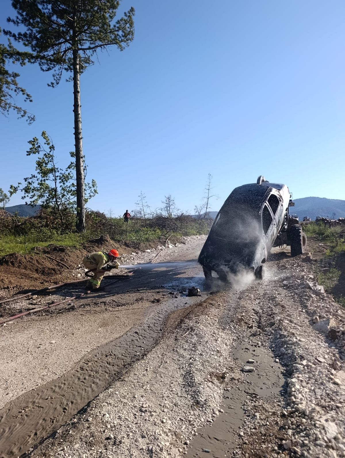 Otomobil Yangını Ormana Sıçradı