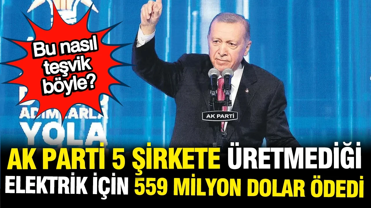 AK Parti 5 şirkete üretmediği elektrik için 559 milyon dolar teşvik verdi