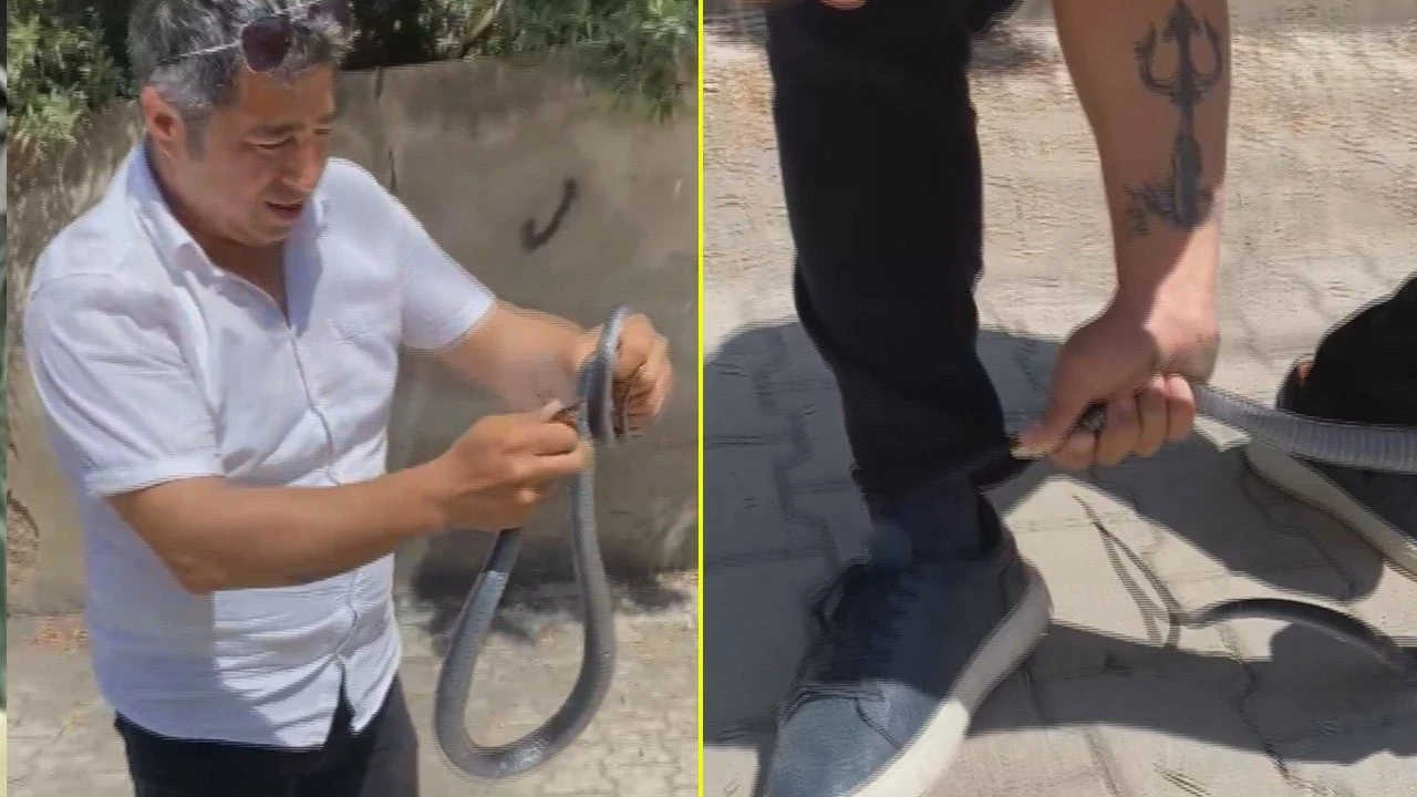Yılancı Kemal bu sefer sert kayaya çarptı! Panik anları kamerada