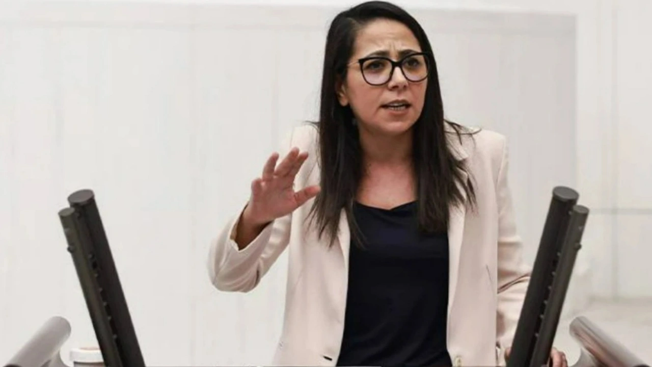 Kadıgil'den TÖDER'e sert çıkış: "Öğretmenleri sömürenleri ifşa edeceğiz"