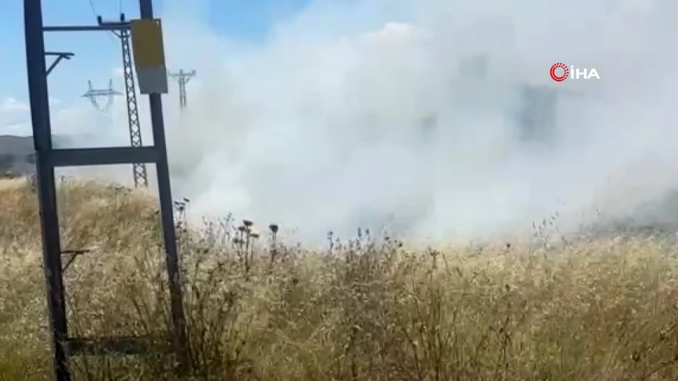 Otluk Alanda Korkutan Yangın: Sebebi Elektrik Tellerine Çarpan Kuş Oldu