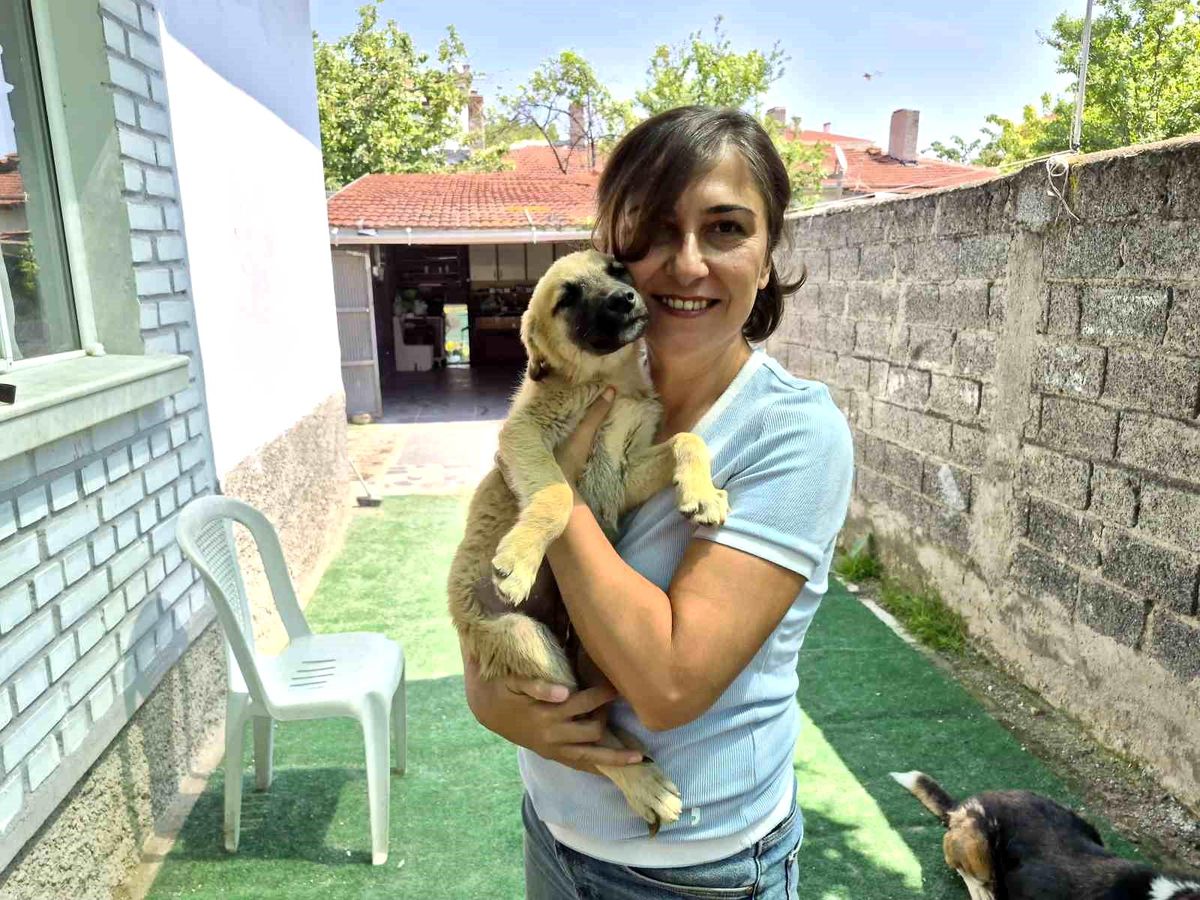 İki gönüllünün şefkat eli yüzlerce sokak hayvanına ulaşıyor