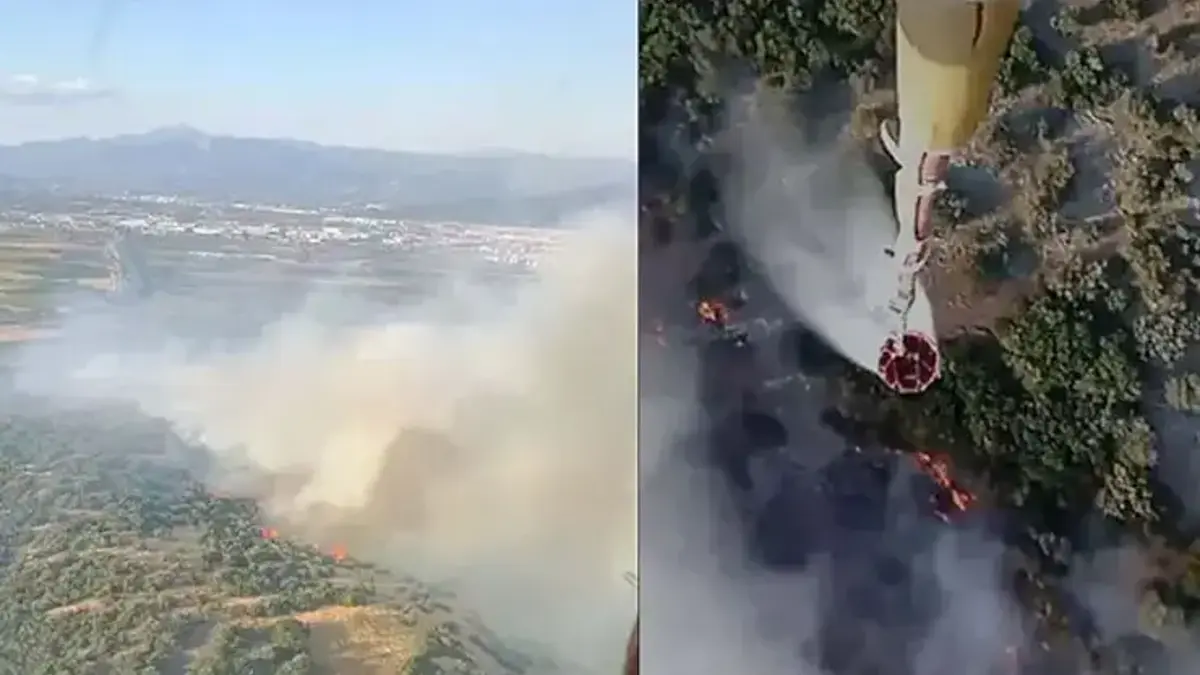 İzmir'de korkutan orman yangını! Havadan ve karadan müdahale ediliyor