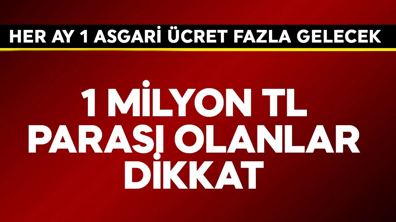 1 milyon TL parası olanlar dikkat! Her ay 1 asgari ücret fazla gelecek