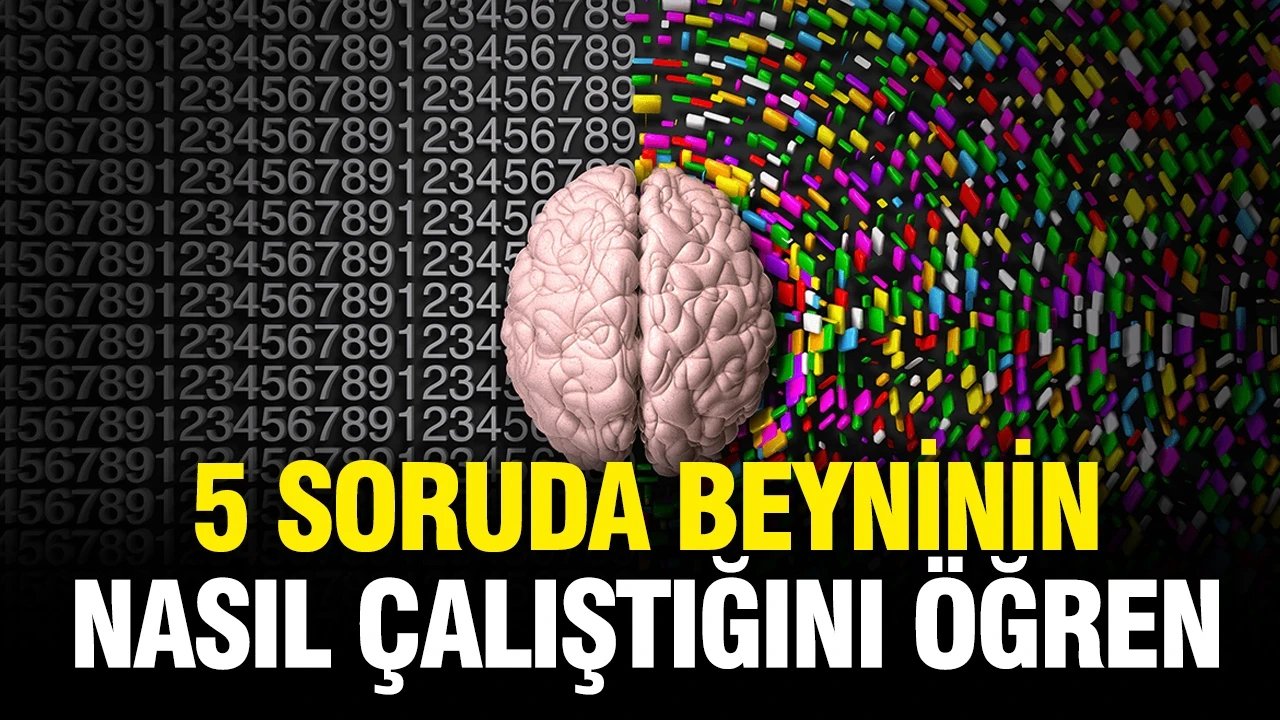 Sadece 5 soruda beyninin nasıl çalıştığını öğren