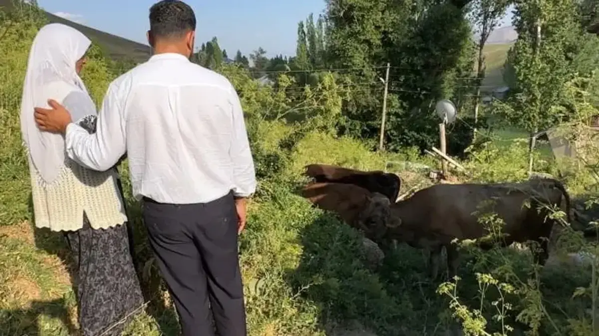 Uçurumdan düşen ineği için gözyaşı döken 7 çocuk annesi Ayni teyzeye yardım eli uzatıldı