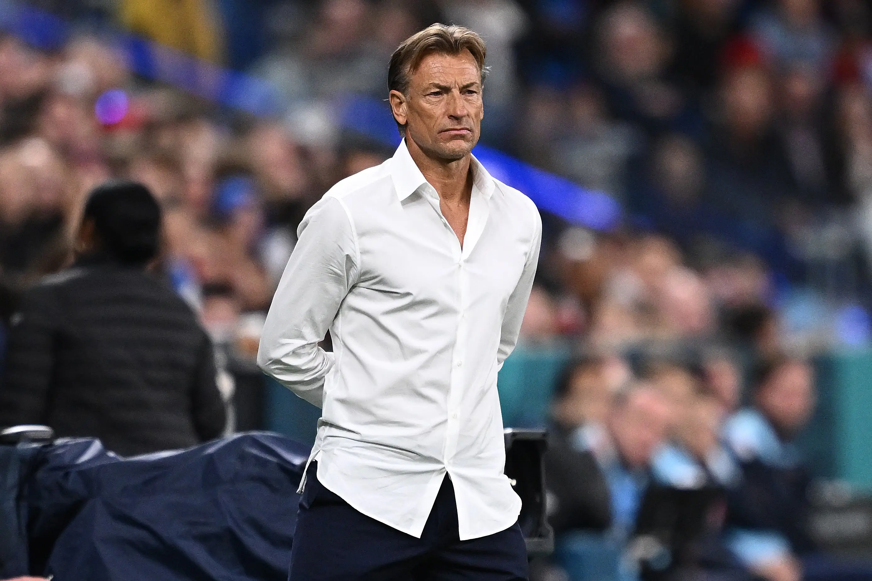 Tunus'un yeni teknik direktörü Herve Renard oldu