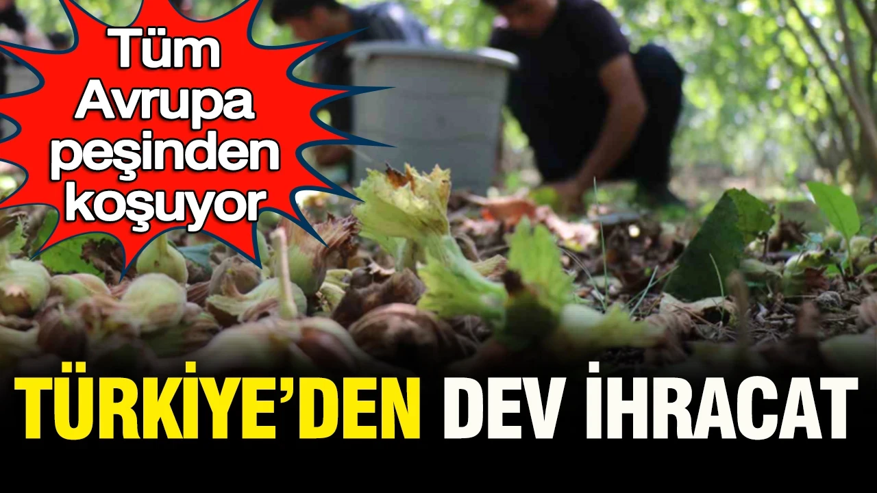 Türkiye’den dev ihracat: Tüm Avrupa peşinden koşuyor