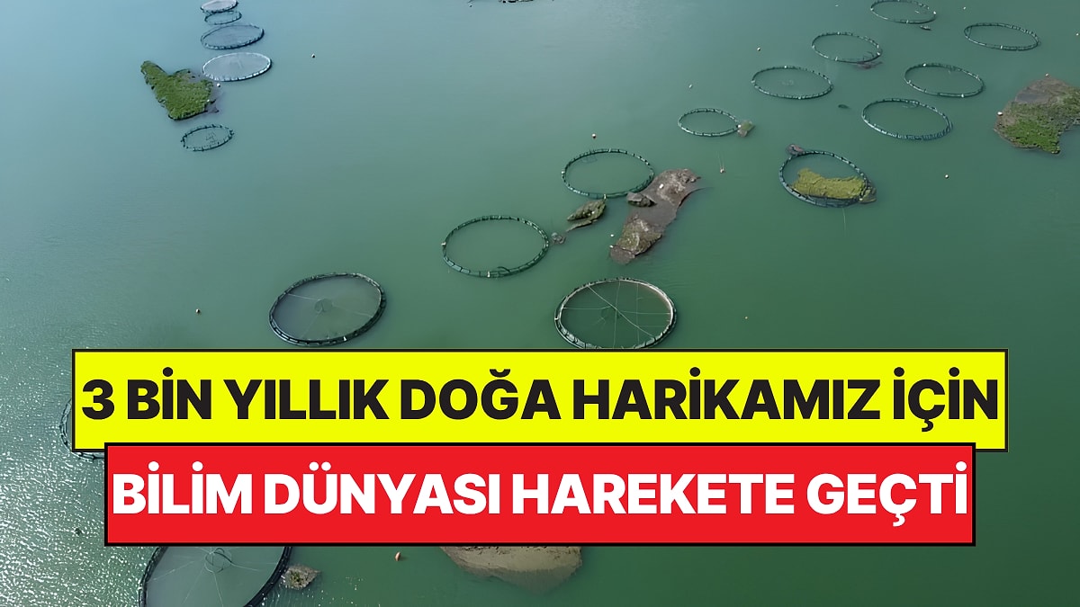 Dünyada Eşi Benzeri Yok: Türkiye'deki 3 Bin Yıllık Doğa Harikası İçin Bilim Dünyası Harekete Geçti
