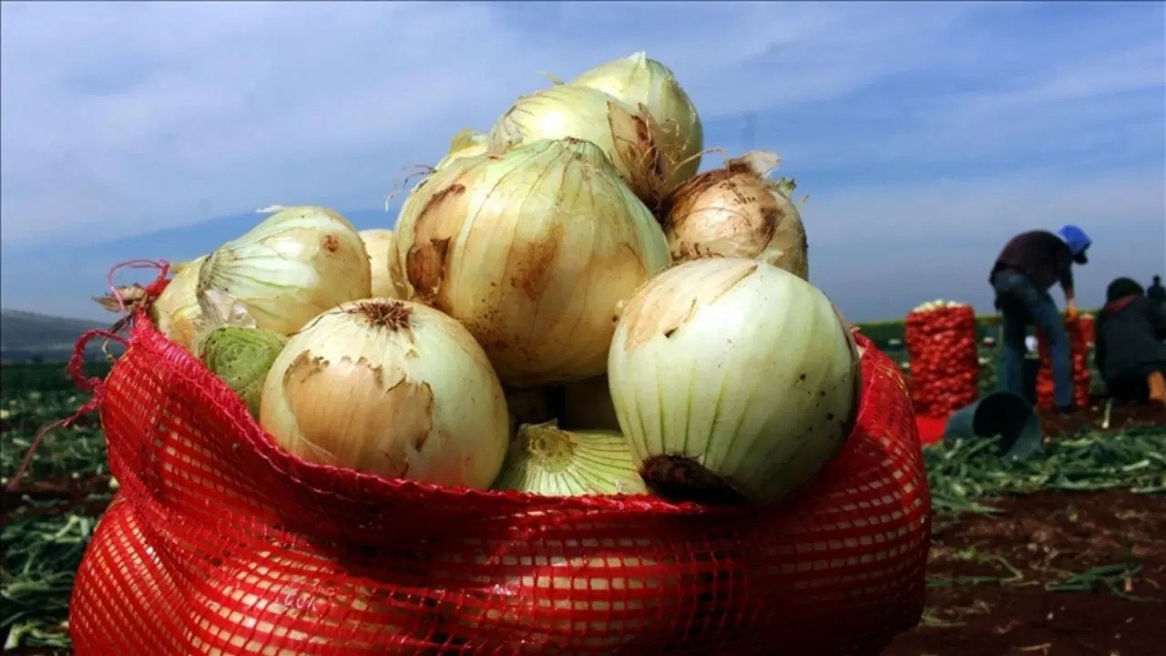 Tarımda planlama çağrısı