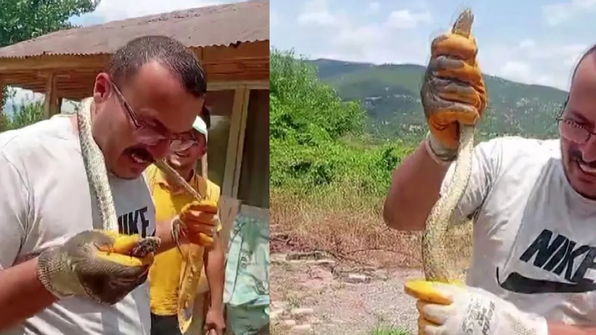 Gören tedirgin oldu! Yakaladığı yılanı boynuna sardı