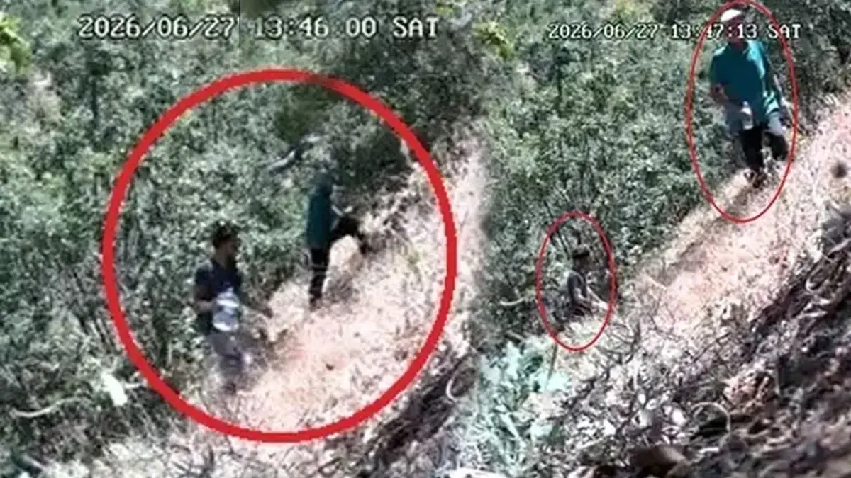 CHP İlçe Başkanı ve oğlu fotokapana takıldı! Kenevir tarlasını sularken görüntülendiler